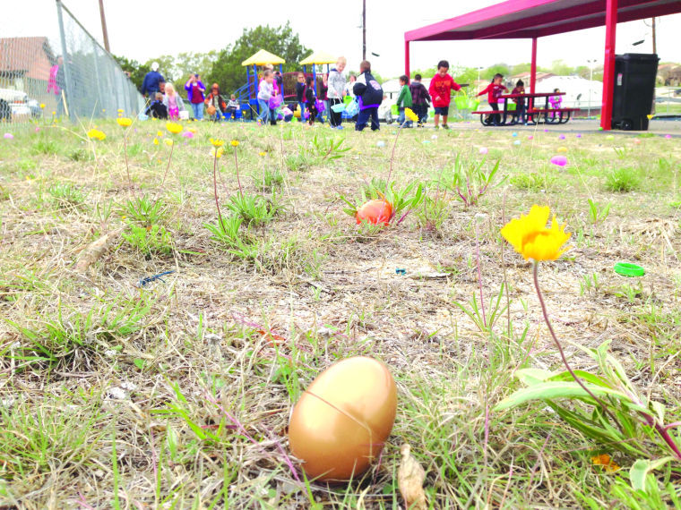 Egg hunt